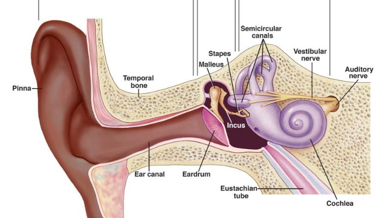 Understanding Noise Service Centres: What They Are and Why They Matter